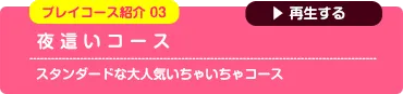秋葉原コスプレ学園
